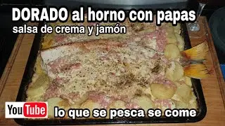 Dorado al horno con salsa de crema y jamón  - receta