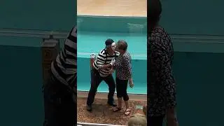 never seen before 😱 seriously the best moment ever Tom mime SeaWorld #seaworldmime #funny