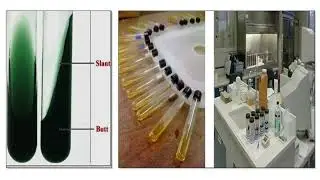 Microbial Media Preparation Steps