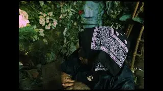 Japaan - Jungle (Official Music Video)