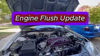 D16y8 ( Engine flush update ) 