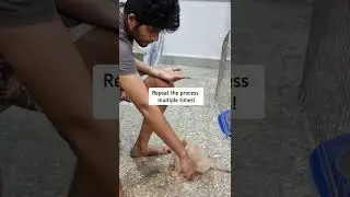 How to Teach Your Puppy The 