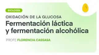 Fermentación láctica y alcohólica | Biología | Oxidación de la glucosa | V8 | Egg Educación