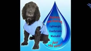 ThermLOW Dog Cooling Coat