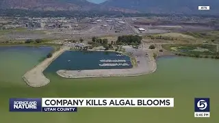 Utah-Based Water Treatment Company Kills Toxic Algal Bloom In Utah Lake