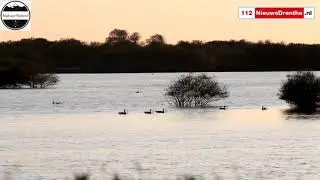 Natuurgebied Bargerveen
