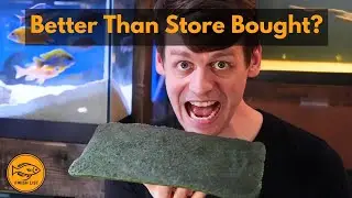 Is DIY Fish Food Worth Making?