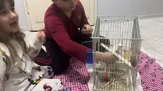 Küçük dostlarımızı Cemre ve abisi elleriyle besledi🦜🦜🦜❤️❤️❤️ 