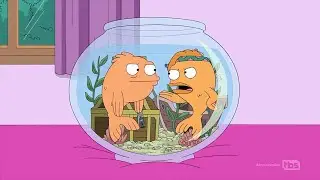 American Dad Best Moments - Hayley placing her brain in another goldfish  #FamilyFox Compilation