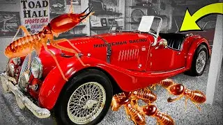 1965 Morgan: A Car that fears THIS more than Rust!😨
