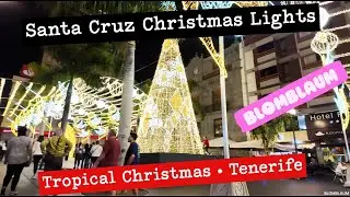 Santa Cruz Tenerife Christmas Lights Walk | Brightest City, Nightlife & Tropical Winter Vibes