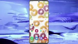Samsung Galaxy S20 : How to enable or disable Face to use Secret mode in Internet App (Android 10)