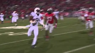 Allen Robinson - 2013 B1G Receiver of the Year & First Team All-Big Ten