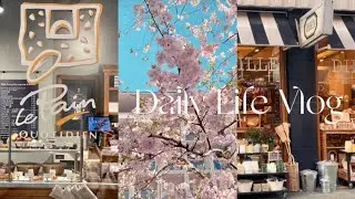 Calm Spring Day 🌸 | Daily life in Europe| Chic Bakery, Belgian Restaurant| Lovely day in Rotterdam