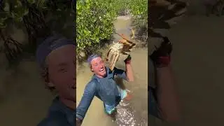 Aussie Pulls Massive Mud Crab &mdash; Australia