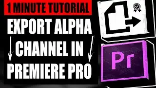 Export Alpha Channel Premiere Pro Tutorial (Step by Step Guide – Full Tutorial)