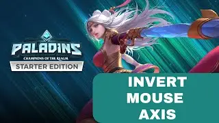 How to Invert Mouse Axis in Paladins 2026?