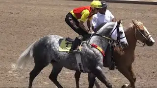 el king cuadra carrujo vs al nuevo cmndnt