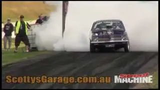 ILURVIT Flaming Torana