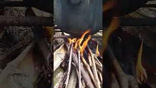 cooking wood in the small farm