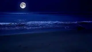 So Much Magnificence 2025