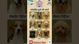 Top 9 Popular Dog Breeds 🐶 | Famous Dog Breeds in Hindi