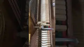 钢琴小知识 6 - Grace师傅 - 钢琴整理 - from find piano malaysia