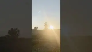 Cracking Indiana Jones&rsquo; whip