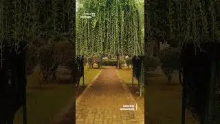 Way to #eusl Eastern University of Sri Lanka #ismigraphy #photography #viralvideo #trending #shorts