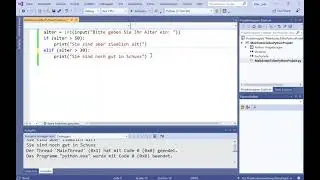 Python - Verzweigungen