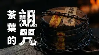 【市場觀察】崩盤？茶葉被詛咒了嗎？越陳越香的神話破滅？普洱茶市場的危機與再出發