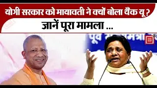 Yogi government को सुबह-सुबह मायावती ने क्यों बोला थैंक यू?  ,  जानें पूरा मामला .Kanpur Buddha Park