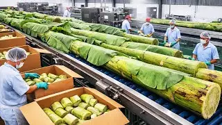 From Banana Waste to Eco Friendly Fiber