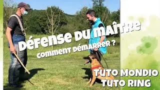 Défense du maître : la première  pour un jeune chien - tuto ring - tuto mondioring - techniques