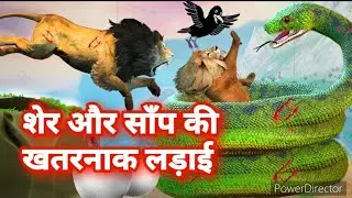 कौआ और शेर | Kauaa aur Sher | Hindi Moral Story