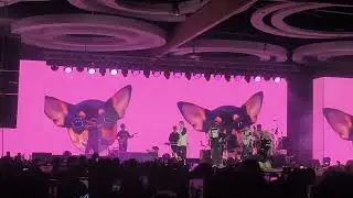 Bangsaen Fest 2025 : LYKN - เลิกกับเขาเดี๋ยวเหงาเป็นเพื่อน / ฉ่ำ / โฮ่ง! / ชอบก็บอก [16NOV2025]