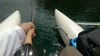 Jefferson Lake 6JUL25