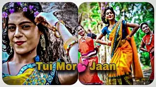 Tui Mor💕Jaan jhumur song status#short#youtubeshorts#shorts🔔