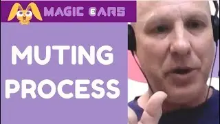 Платформа Magic Ears: процесс отключения звука