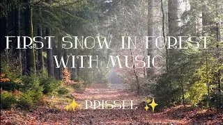 ✨ 🎵❄️ FIRST SNOW IN FOREST AMBIENCE MUSIC RELAXATION SLEEP STUDY MOOD CHILL NEIGE EN FOR&Ecirc;T ✨