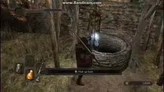 Dark Souls 2 easy find for Estus Flask Shard