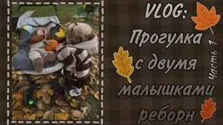 VLOG:Прогулка с двумя реборнами✨Часть 1🍂