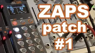First Patch on Winter Plankton ZAPS
