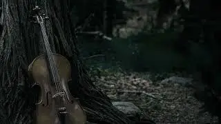 EthanW - Quintet in E minor, No.2, Op.28 