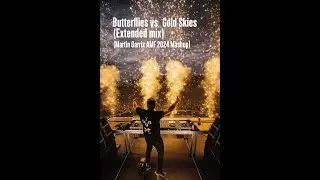 Butterflies vs. Gold Skies (Extended mix) (Martin Garrix AMF 2024 Mashup)