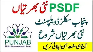 Punjab Skills Development Fund PSDF Jobs January 2021