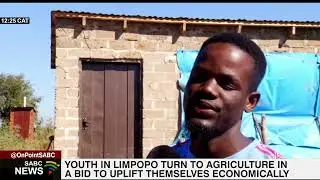 Limpopo youth adopt agriculture for economic upliftment