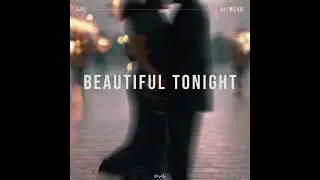 FIXL, Allweare - Beautiful Tonight