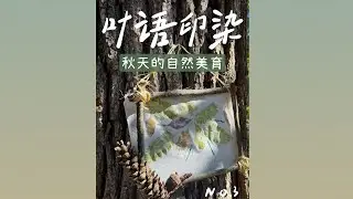 叶语印染｜秋天的自然美育｜亲子手工活动｜Leaf Printing & Natural Dye Art for Kids｜