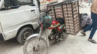 Lahore eggs business|eggs rate today|Andy ka karobr 